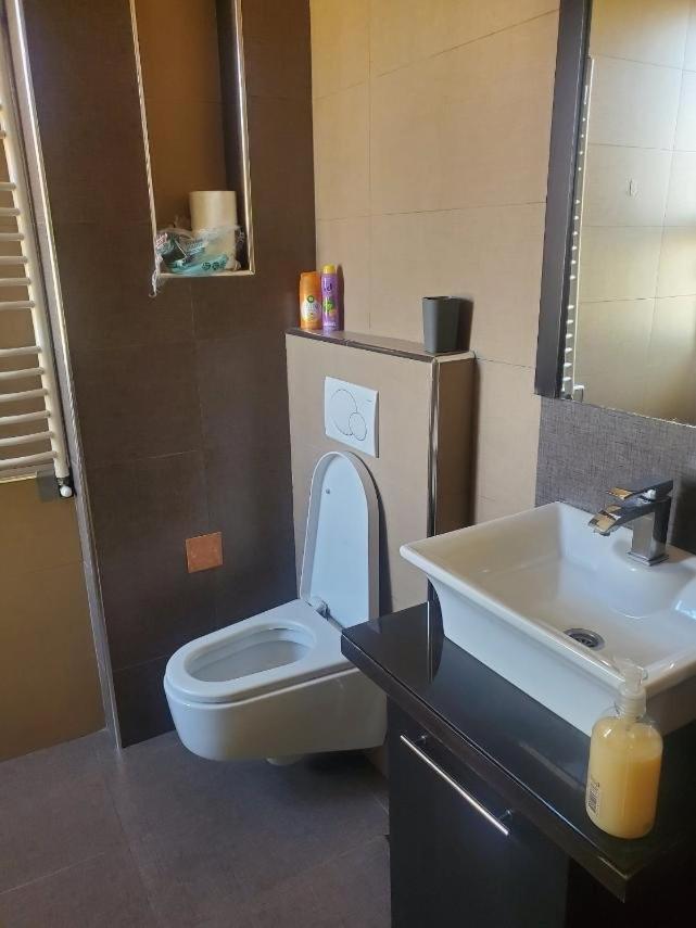 Apartman Kosta Lux 贝尔格莱德 外观 照片